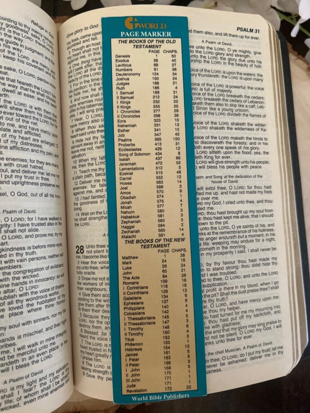 Holy Bible King James 1989 Words Of Christ In Red By World Bible Publishers - Picture 8 of 13